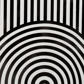 Sealskin Douchegordijn Brave 180x200cm Zwart/wit 7 Sealskin Douchegordijn Brave 180x200cm Zwart/wit - Afbeelding 5