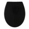 Tiger WC Bril Aiden Zwart Kunststof Met Softclose -Badkamer Verkoop 123 5482