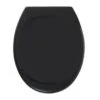 Tiger WC Bril Mason Zwart Kunststof Met Softclose -Badkamer Verkoop 123 5487