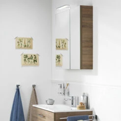 TIGER S-line Spiegelkast 60cm Chalet Eiken 14 TIGER S-line Spiegelkast 60cm Chalet Eiken -Badkamer Verkoop 123 560