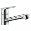 Hansgrohe Keukenkraan Focus M43 Met Hendel Chroom 100 1 Hansgrohe Keukenkraan Focus M43 Met Hendel Chroom 100 -Badkamer Verkoop 123 6210
