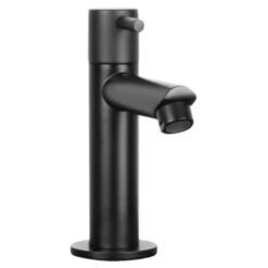 Differnz Fonteinkraan Recht Mat Zwart -Badkamer Verkoop 123 6562